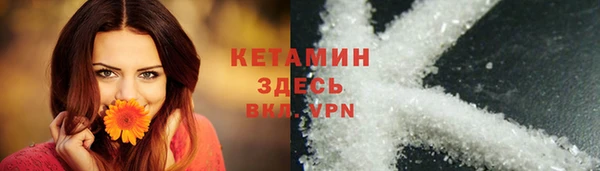 дживик Касимов
