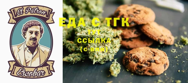 дживик Касимов