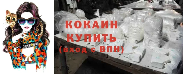 дживик Касимов