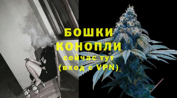 дживик Касимов