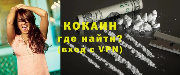 дживик Касимов