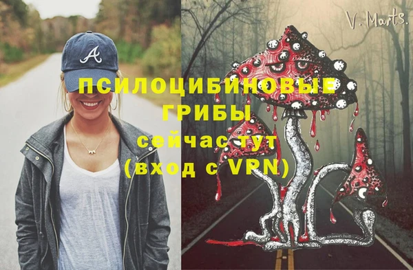 дживик Касимов