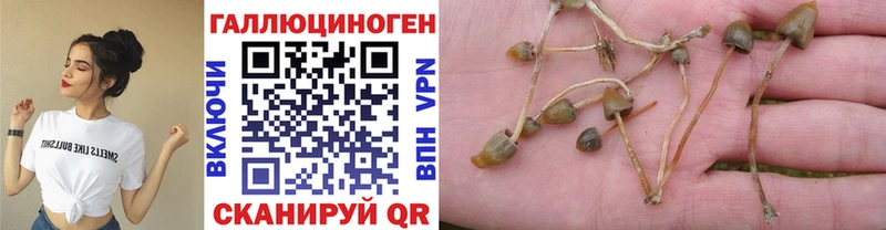 Псилоцибиновые грибы ЛСД  Купить закладки  Лысково 
